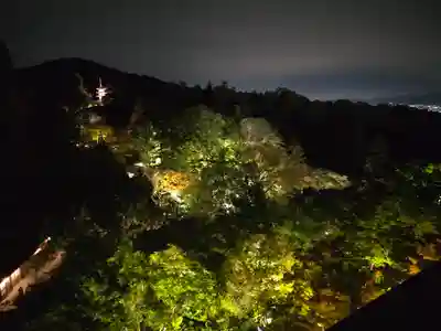 清水寺(京都府)