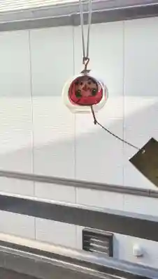 川崎大師（平間寺）(神奈川県)