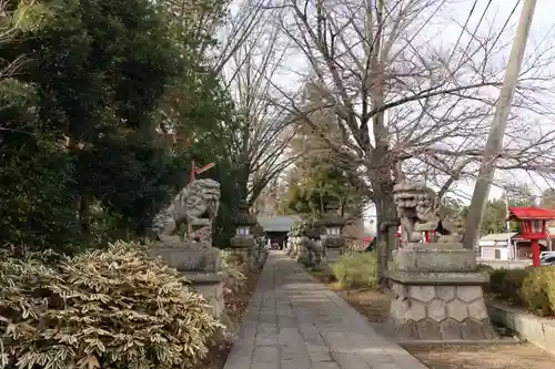 神炊館神社 ⁂奥州須賀川総鎮守⁂の狛犬