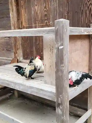 大崎八幡宮(宮城県)