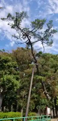 熊野神社の自然