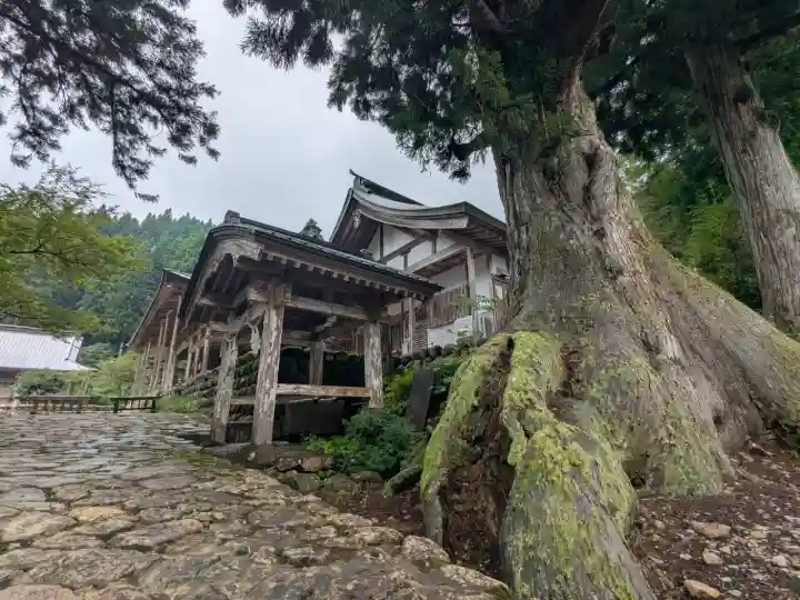 白山神社(長滝神社・白山長瀧神社・長滝白山神社)(岐阜県)