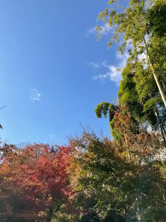 直指庵(京都府)