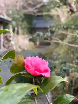 妙楽寺(福井県)