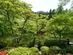 醍醐寺の庭園