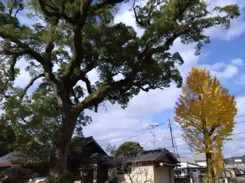 深江神社(福岡県)