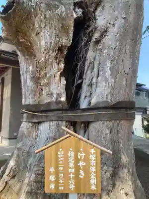 入野八坂神社(神奈川県)