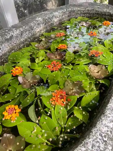 三津厳島神社の手水舎
