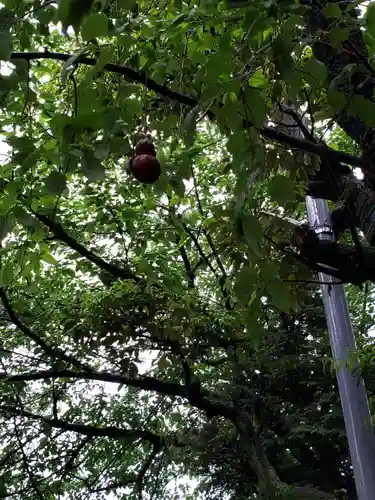 秋葉神社(東京都)