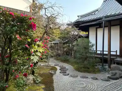 両足院の{uncategorized: "未分類", other: "その他", undefined: "問題あり", building: "その他建物", grave: "お墓", sacred_gate: "鳥居", guardian: "狛犬", statue: "像", buddha: "仏像", history: "歴史", nature: "自然", garden: "庭園", animal: "動物", pagoda: "塔", temizu: "手水舎", mountain_gate: "山門・神門", sanctuary: "本殿・本堂", subordinate: "末社・摂社", art: "芸術", scenery: "景色", jizo: "地蔵", ema: "絵馬", goshuin: "御朱印", omikuji: "おみくじ", items: "授与品その他", amulet: "お守り", goshuincho: "御朱印帳", eats: "食事", festival: "お祭り", votive_dance: "神楽", shichigosan: "七五三参", wedding: "結婚式", experience: "体験その他", initially: "初詣", around: "周辺", anti_infection: "感染症対策"}