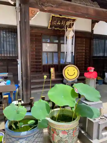 谷中西光寺(東京都)