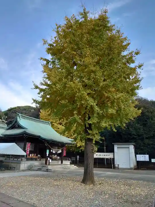 峯ヶ岡八幡神社の自然