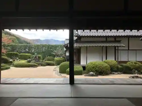 頼久寺の庭園