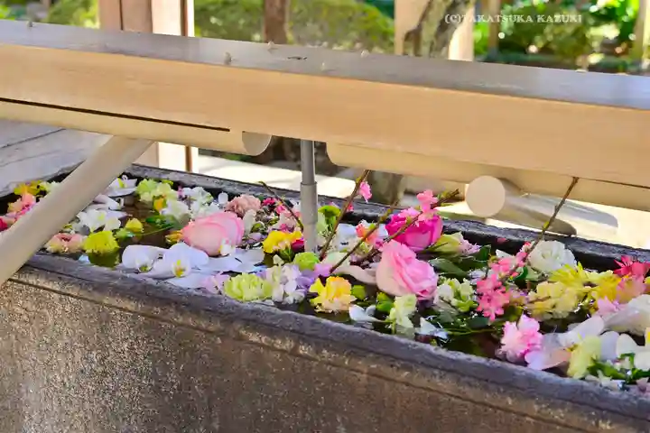鳩森八幡神社の手水舎