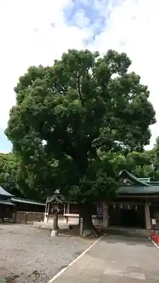 真清田神社(愛知県)