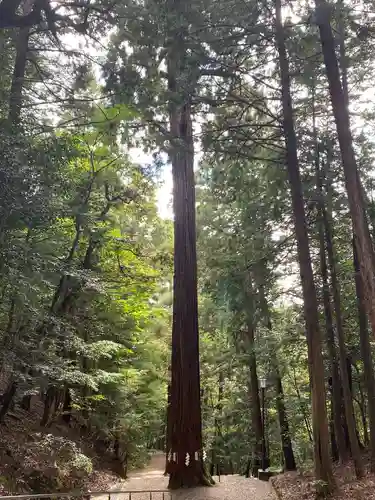元伊勢内宮 皇大神社(京都府)