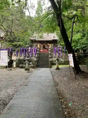 下野 星宮神社(栃木県)