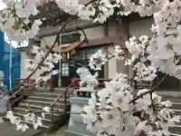 春日神社の本殿・本堂