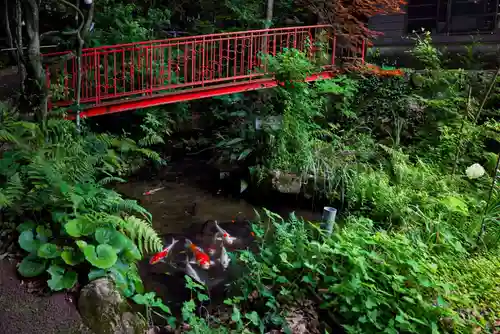 熊野神社の建物その他