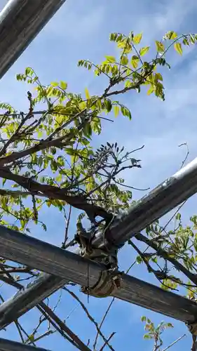 大松禅寺(京都府)