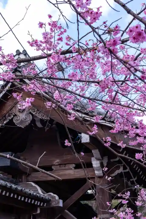 平野神社(京都府)