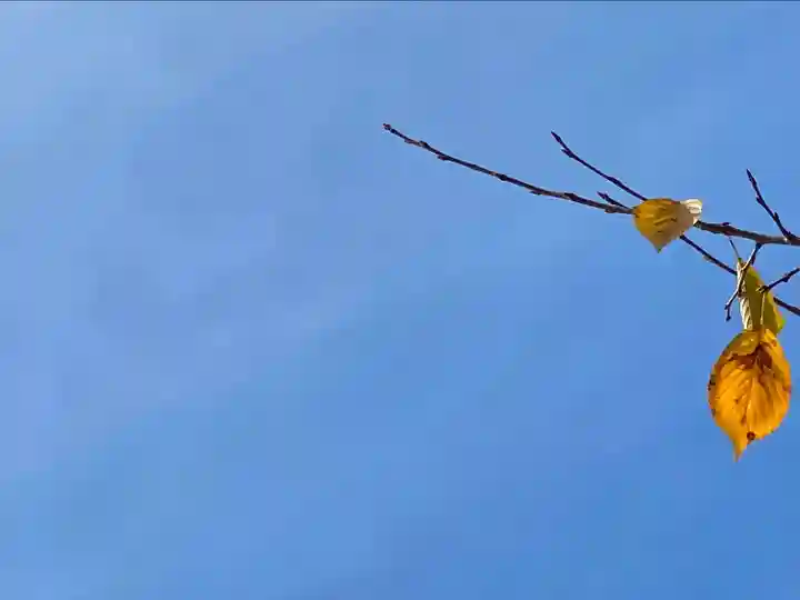 眞田神社(長野県)