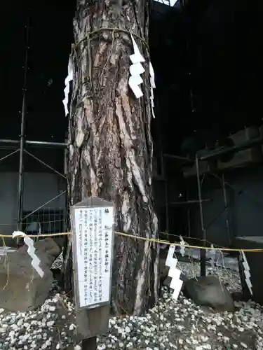 手稲神社の自然