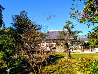 報恩寺の本殿・本堂