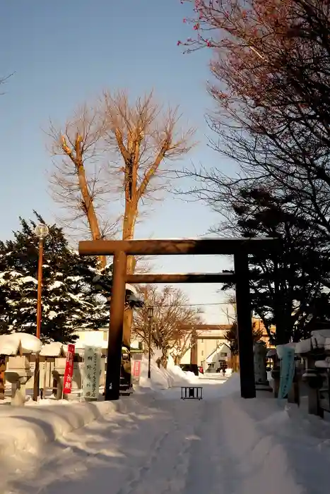 豊栄神社の鳥居