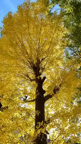 津嶋部神社(大阪府)