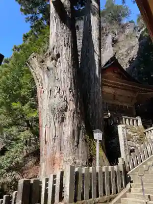 榛名神社(群馬県)