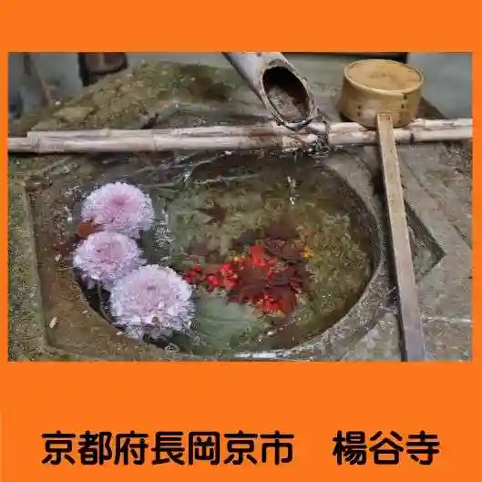 柳谷観音 楊谷寺の手水舎