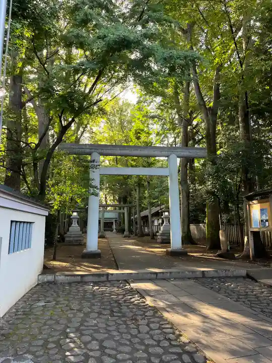 南荻窪天祖神社(東京都)