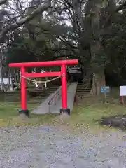 一之宮神社の鳥居