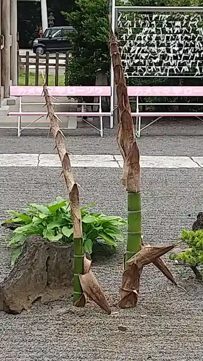 常陸第三宮 吉田神社の自然