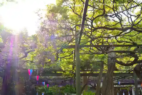 國領神社(東京都)