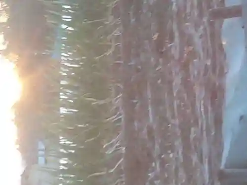 天照大神(神奈川県)