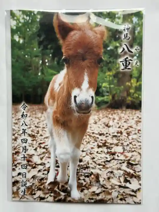 平塚八幡宮(神奈川県)