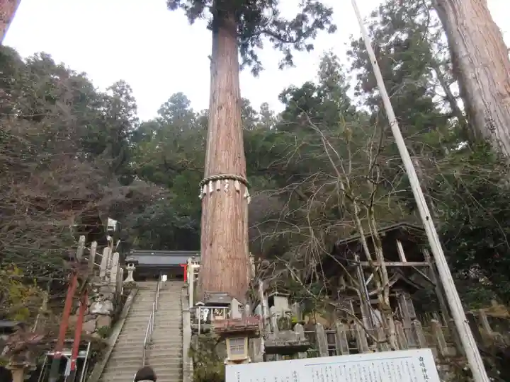 由岐神社の自然
