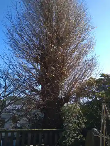 叶神社 (西叶神社)(神奈川県)