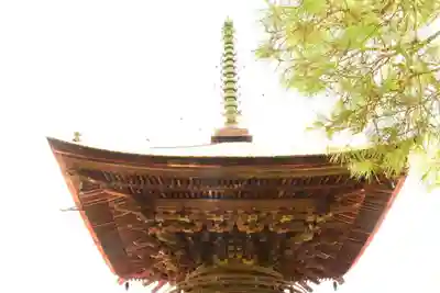 常寂光寺(京都府)