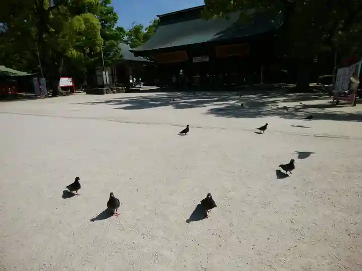 筥崎宮(福岡県)