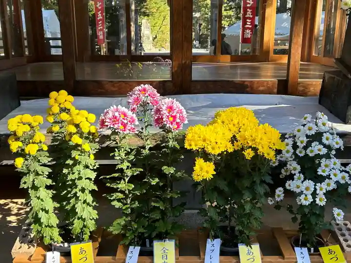 穂高神社本宮(長野県)