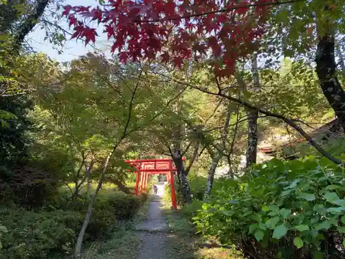 大善寺の鳥居