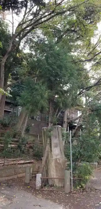 金山神社の自然