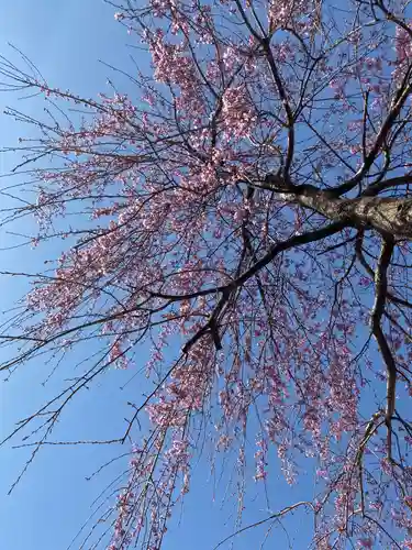 大鏑神社の自然