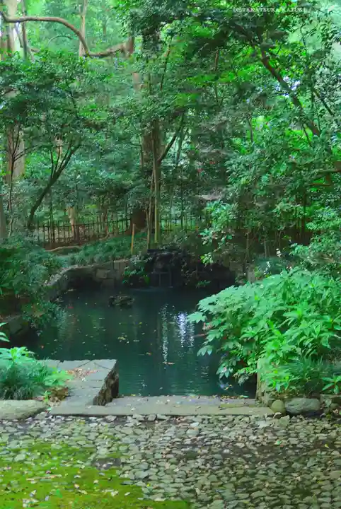 武蔵一宮氷川神社(埼玉県)