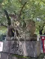鷲宮神社の狛犬