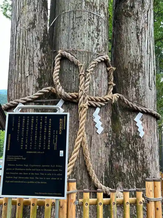 奥氷川神社(東京都)