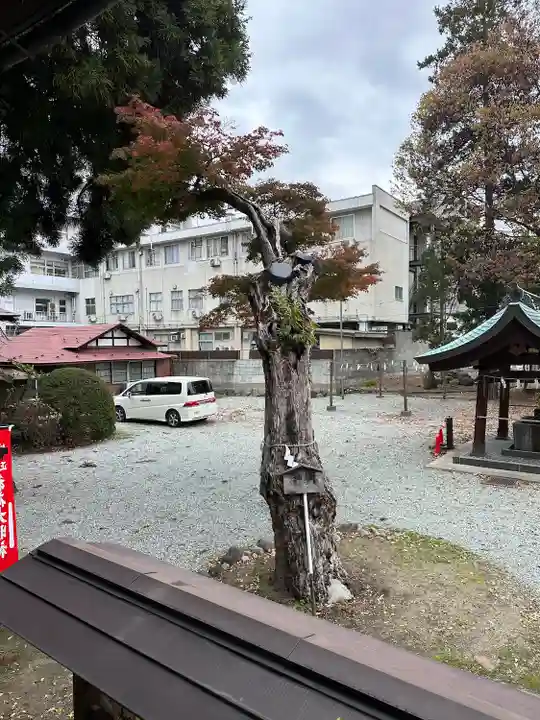 豊烈神社(山形県)
